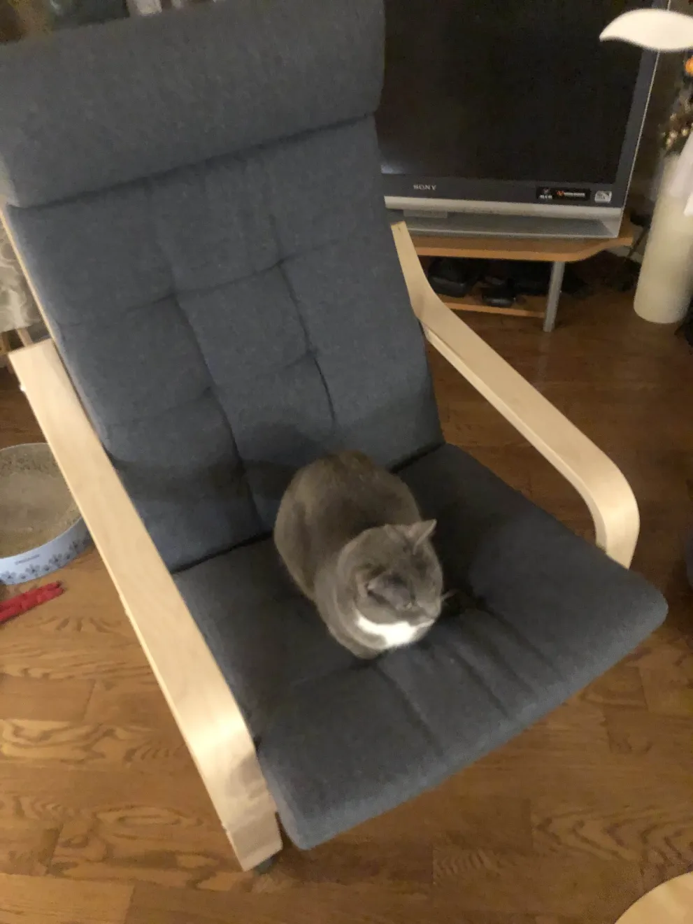 totumhome.jpg